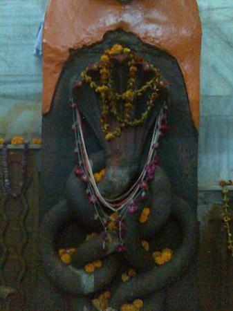 Nagvasuki Temple